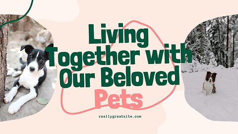 Living together with our pets.