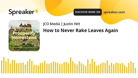 How to Never Rake Leaves Again