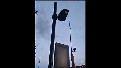 Blade Runners' Crusade: Disabling ULEZ Cameras in London | ULEZ