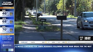 Seminole Heights neighbors protesting new housing complex