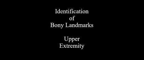 Identification of Bony Landmarks - Upper Extremity - Clavicle Scapula Humerus Ulna Radius Hand