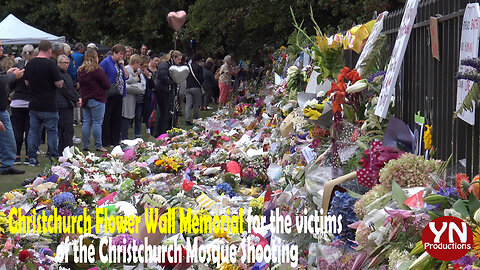 Christchurch's Memorial Walls for the Mosque Shooting victims