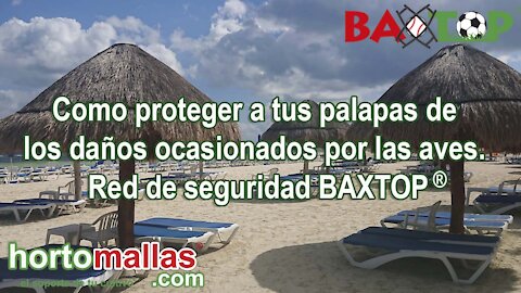 Como proteger a tus palapas de los daños ocasionados por las aves. Red de seguridad BAXTOP®