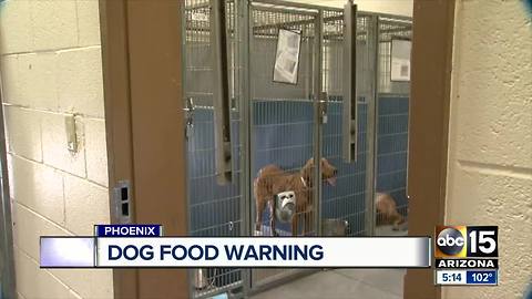 'Grain free' diet for dogs may lead to heart failure