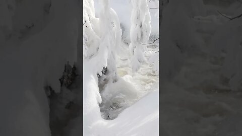 Waterfalls at Track & Tower Trail Algonquin Park #shorts #short #shortvideo #shortsvideo