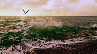 Ocean waves and seagulls sounds for 5 hoursㅣRelax, Sleep, Insomnia, Study