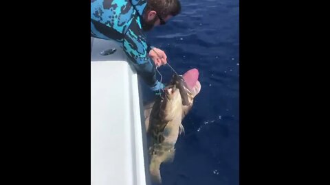 fishing tackle Biggest Fish Ever Caught | Sport Fishing Mag