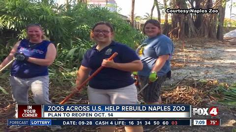 Zoos across the country help rebuild Naples Zoo