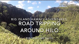 Akaka Falls State Park - The Traveling Tacos - Hilo, Big Island, Hawai'i