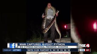 Naples man captures 16-foot python