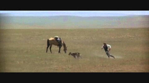 Dances with Wolves (1990) - Two Socks
