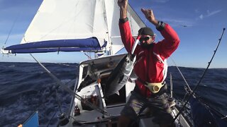 This is the End - Free Range Sailing Ep 208