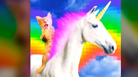 Just a Ginger Cat Riding a Unicorn...