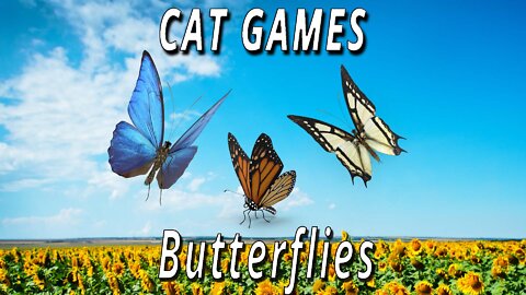 CAT GAMES: Butterflies (Animated)