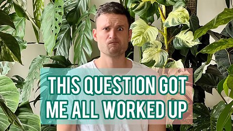 Q&A4 - pest prevention, 'rare' plants, my cat … and some real talk