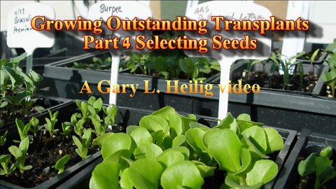 Growing Outstanding Transplants Part 4