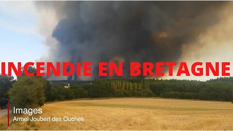 INCENDIE DE FORET / BRETAGNE / MORBIHAN / BROCELIANDE / FRANCE