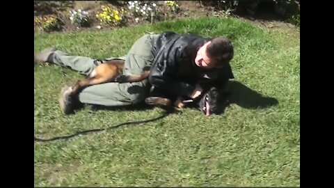 How to defend against a dog. Self-defense against dog attack .