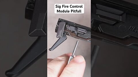 SIG P365 Fire Control Module Pitfall Warning #sigp365 #sigsauer