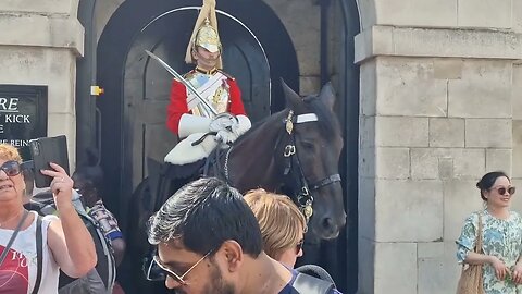 Another on his mobile nearly Walks in to the horse #horseguardsparade