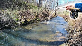 Creek Fishing For Trout (TIPS AND TRICKS)