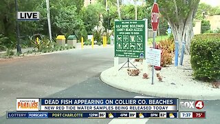 Collier County to sample beaches for red tide