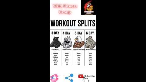 🔥Workout splits🔥#fitness🔥#wildfitnessgroup🔥#shorts🔥