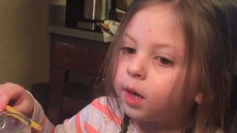 A Little Girl Blames The Door For Eating Cookies