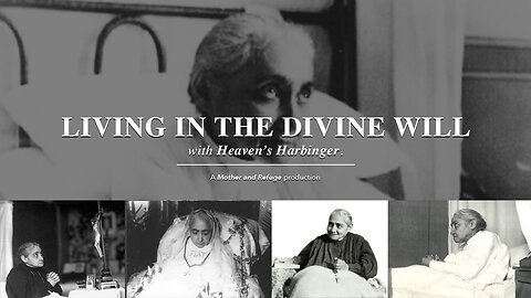 Living in the Divine Will with Heaven's Harbinger