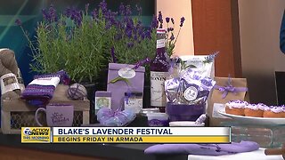 Blake's Lavender Festival