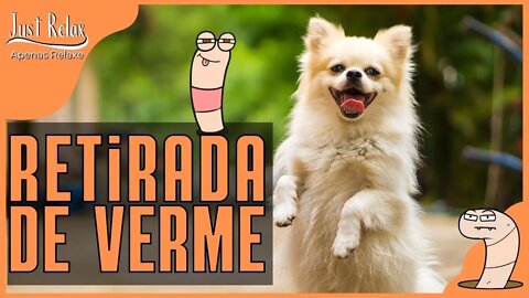 Berne em Cãozinho Remoção - Vídeo Removing Parasites from a Puppy - Just Relax
