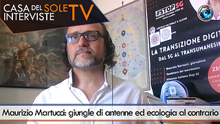 Maurizio Martucci: giungle di antenne ed ecologia al contrario