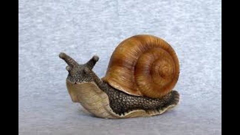 Amazing Facts about Snail, Snail can sleep for 3 years.