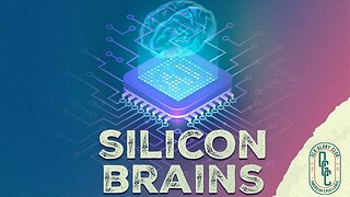 Silicon Brains