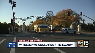 Glendale park reopens after family attacked by bees