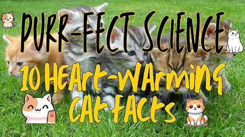 Purr-fect Science: 10 Heart-warming Cat Facts
