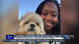 Woman searches for beloved pet