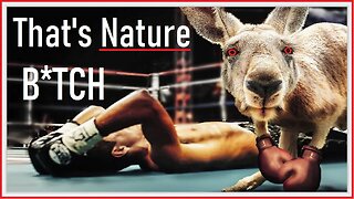 How To Fight Like a F**king Animal!