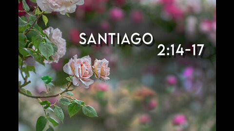 Santiago 2:14-17