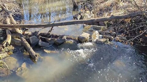 Soothing Sounds of a Tiny Brook in Forest Preserve - 3 hours - #brook #soothingsounds #forestsounds