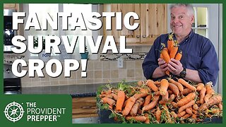 Carrots: Tips for Growing and Storing a Fantastic Survival Crop