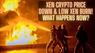 Xen Crypto Price Down & Low Xen Burn! What Happens Now?