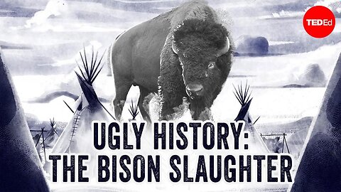 Why did the US try to kill all the bison ?