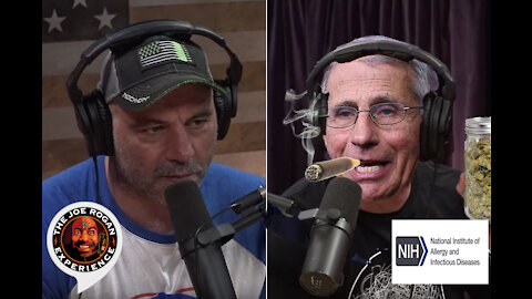 Fauci blasts Joe Rogan after he told his 'young and healthy' listeners NOT to get vaccinated
