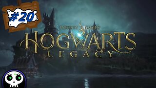 Hogwarts Legacy (#20)