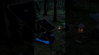 Woodland Wildcamping 19/4/2021