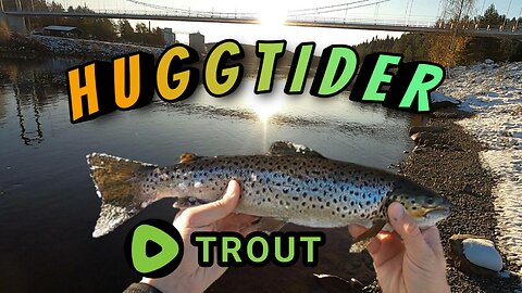 Swedish trout fishing in Lule River with my friend Jesper! w/ English Subtitles