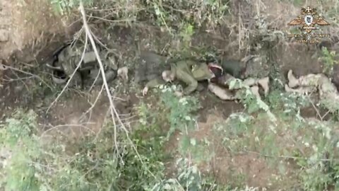 Donbas Sparta Battalion Kills Ukrainian Soldiers With a Simple Drone Drop