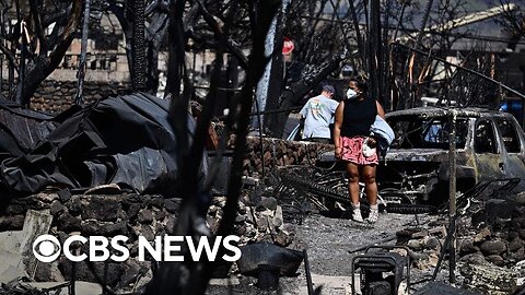 Maui fire survivors on escaping the deadly blaze