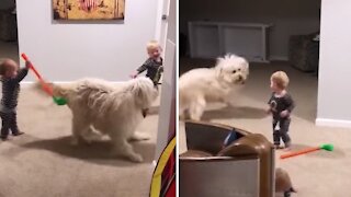 Twin boys thrilled as their doggy gets the zoomies